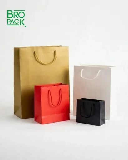 sac en papier rigide